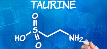 Taurine improves ED in experimental research ForeverHealth